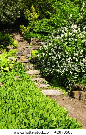 Landscaped garden path with natural stone steps