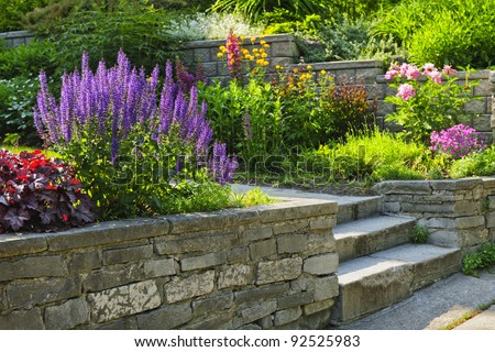 Similar – Image, Stock Photo Summer lilac in front of a bright blue sky in summer.garden