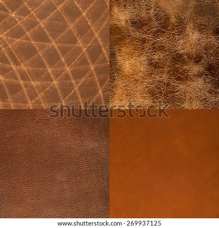 Set of brown leather samples, texture background.