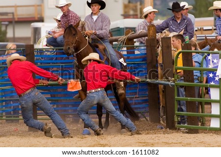 rodeo hands pull rope on bull at rodeo (editorial use only)