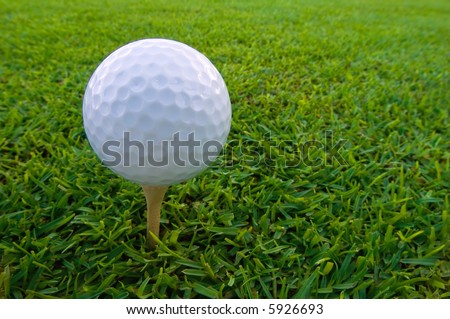 golf ball on tee isolated on tee box turf