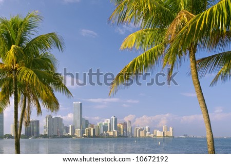 miami florida bayfront skyline on sunny afternoon