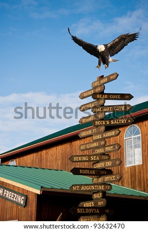 american bald eagle landing on milepost in homer alaska, composite