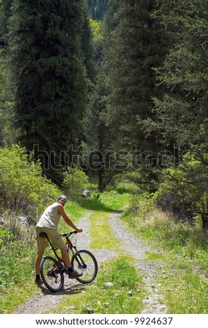 Mountain biker on old rural road in spring forest