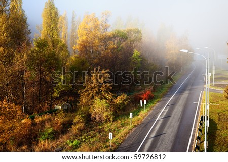 Road in autumn forest and fog