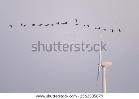 Similar – Image, Stock Photo huge wind turbine from frog perspective in front of blue sky