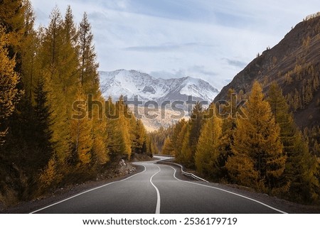 Image, Stock Photo Mountain autumn Sunrise. Majestic Morning fog, Beautiful tonal perspective. Fall sunny Landscape, misty forest on hills. Majestic aerial scenery of valley