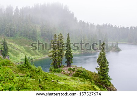 Fragment of foggy and rainy Bagley Lakes Trail at Mount Baker Park in Washington, USA