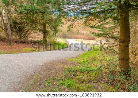 Trail through lush green forest in Deer Lake Park, Vancouver, Canada.