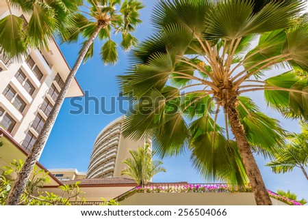 Palm tree tops against apartment or hotel building and blue sky. Vacation tropical background.