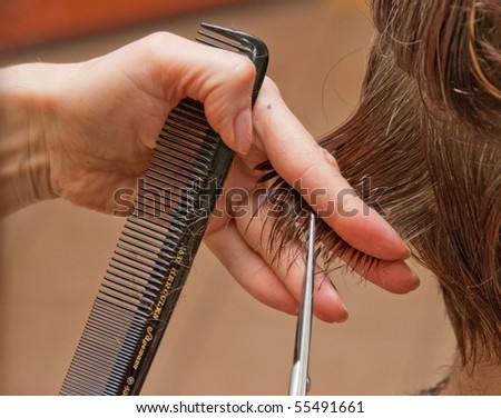 hairdresser cutting wet hair close-up, hair salon