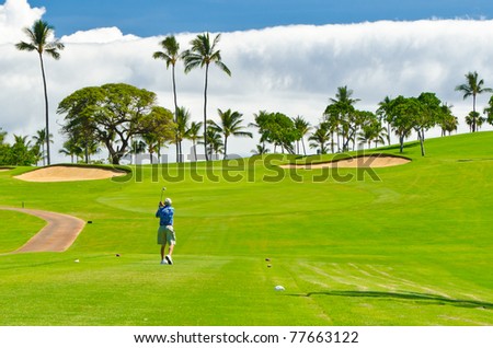 Golf place with gorgeous green and palm tree over blue sky with white clouds view
