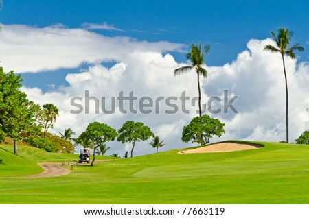 Golf place with gorgeous green and palm tree over blue sky with white clouds view