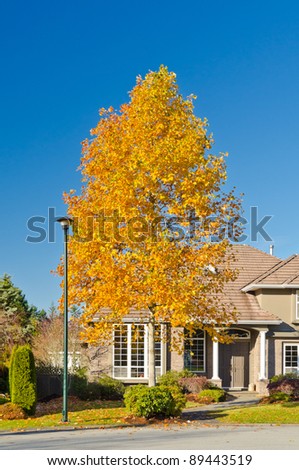 Fragment of a nice house over fantastic yellow tree in Vancouver, Canada.
