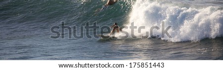 HOOKIPA, HAWAII - CIRCA OCTOBER 2013: Young people surfing Hookipa, Maui. Hookipa is a beach on the north shore of Maui, Hawaii, USA, perhaps the most renowned windsurfing site in the world