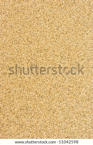 Smooth sandy floor and fine texture.