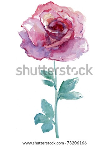 Pink Rose On White Background. Watercolor Stock Photo 73206166 ...