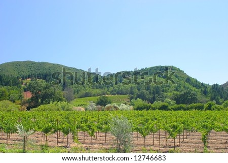 California wine is wine made in the U.S. state of California. Russian River springs from the Laughlin Range about 5 mi (8 km) east of Willits in Mendocino County.