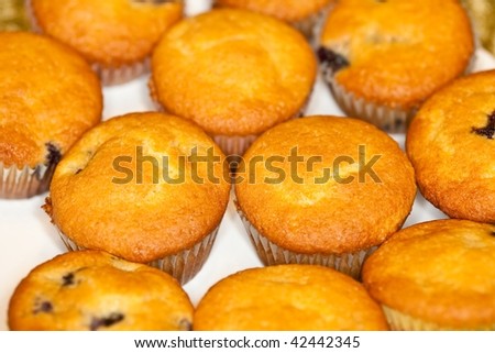 Muffin is a type of bread that is baked in small portions. Many forms are somewhat like small cakes or cupcakes in shape, although they usually are not as sweet as cupcakes and generally lack frosting