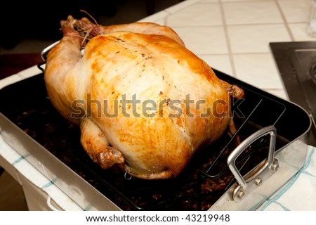 The centerpiece of contemporary Thanksgiving in the United States and Canada is a large meal, generally centered around a large roasted turkey.