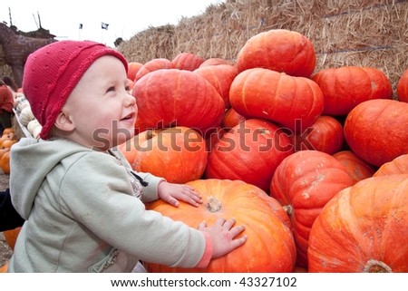 The carving of pumpkins is associated with Halloween in North America where pumpkins are both readily available and much larger- making them easier to carve than turnips.