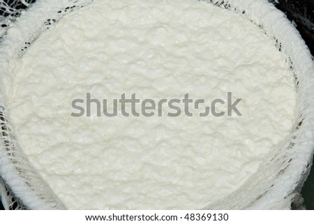 Cottage cheese is a cheese curd product with a mild flavor. It is drained, but not pressed so some whey remains and the individual curds remain loose.