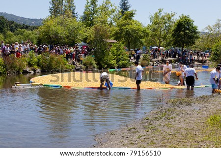 LOS GATOS, CA, USA - JUNE 12: The rubber duckies kick off their summer at the 4th Annual Silicon Valley Duck Race in Vasona Lake Park. June 12, 2011 in Los Gatos, CA, USA