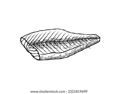 Vector illustration of a salmon fillet in black and white sketch style
