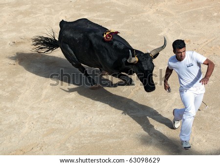 PALAVAS, FRANCE - SEPTEMBER 26:  Bull chases unidentified competitor during bull racing game. Traditional sport in Camargue region of France - cash to he who removes strings from bull\'s horns in Palavas, France on Sept 26, 2010.
