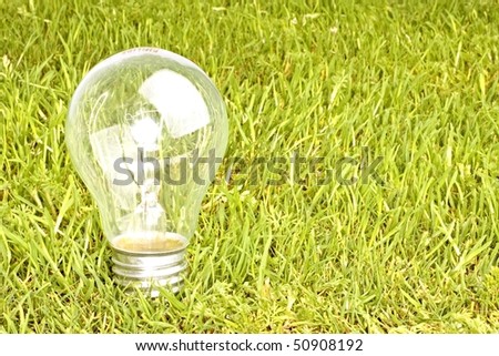 Light bulb in the grass