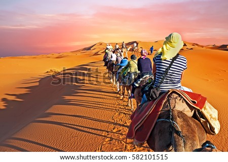 Image, Stock Photo camels and people going between sand lands in desert in Morocco