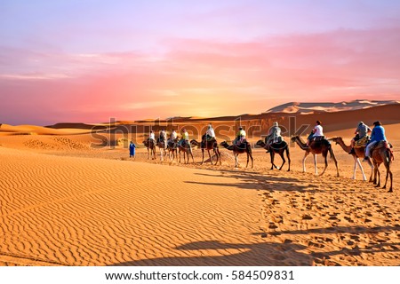 Similar – Image, Stock Photo camels and people going between sand lands in desert in Morocco