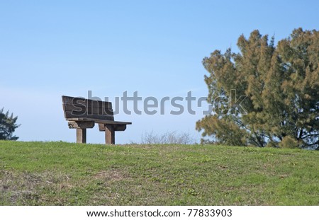 A wooden bench at the top of a little hill, at Bellair Beach, FL.