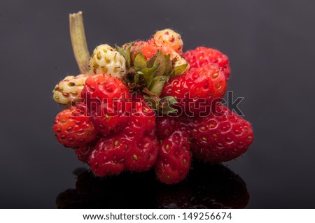 An image of genetic modified strawberry