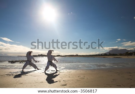 Young adult man with black belt practicing a Kata on the beach on a sunny day