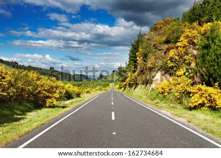 Landscape with road and forest, New Zealand