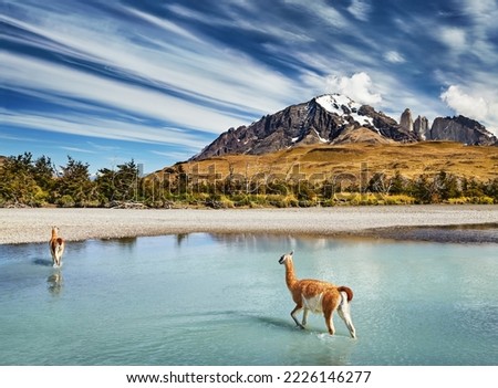 Similar – Image, Stock Photo Chile Environment