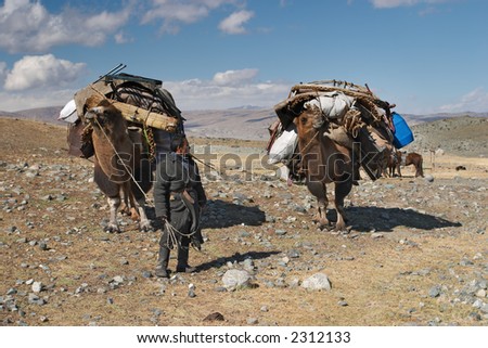 Mongolian nomad
