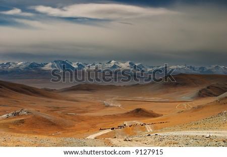 Mongolian nomads driving cattle, Western Mongolia