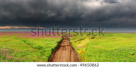 Dirty road in blossoming field, Kamchatka