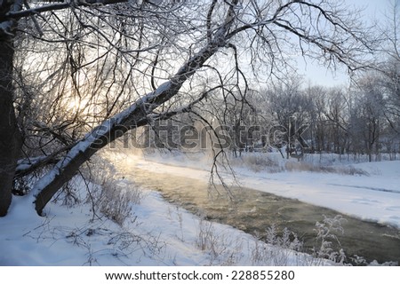Credit river bank in the cold winter morning