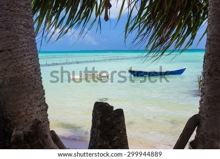 Fishing boats in the gap between the palm trees on the island of Kiribati