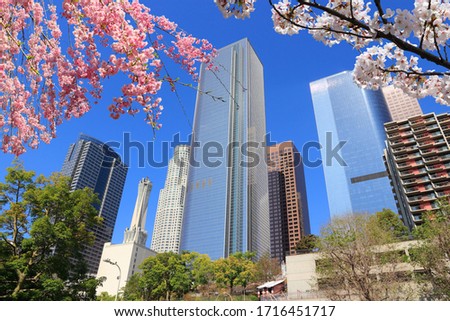 Similar – Image, Stock Photo Spring in the city park with flowers