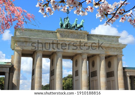 Similar – Image, Stock Photo Cherry blossom in Berlin at the Fliegeberg