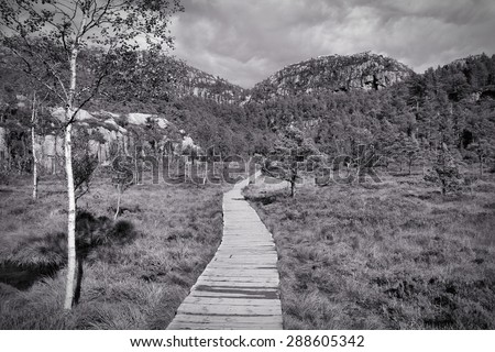 Norway, Rogaland county. Trail to Preikestolen. Boardwalk in a swamp. Black and white vintage style.