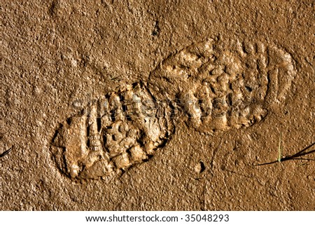 Shoe print in the mud. Muddy soil shoeprint.