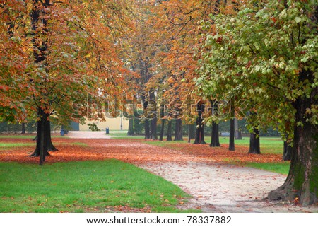 Parma, Italy - Emilia-Romagna region. Ducale Park - autumn view with chestnut trees.