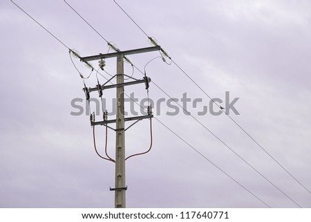 Post electric, detail with bird, transport energy