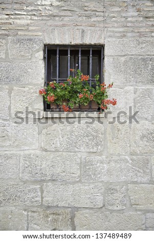 Window with flowers, detail of an old window with flower decoration, exploration in detail in the city