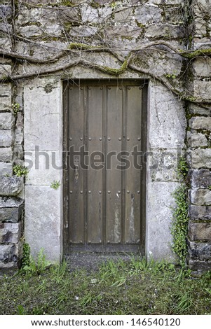 Old rural door, detail of a door leaving ruin and desolation, vegetation